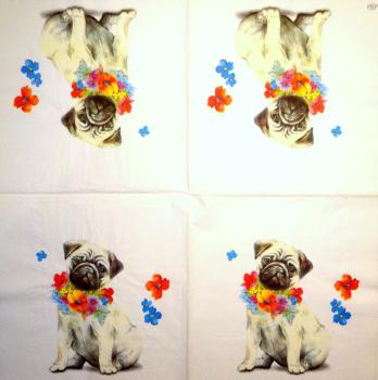 HUN-118 Dogs - 3-ply - Ihr